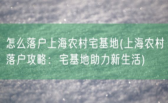 怎么落户上海农村宅基地(上海农村落户攻略：宅基地助力新生活)