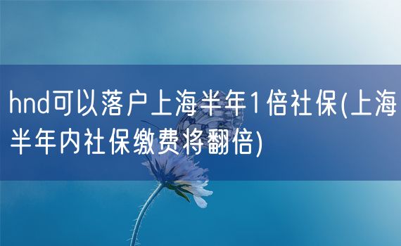 hnd可以落户上海半年1倍社保(上海半年内社保缴费将翻倍)