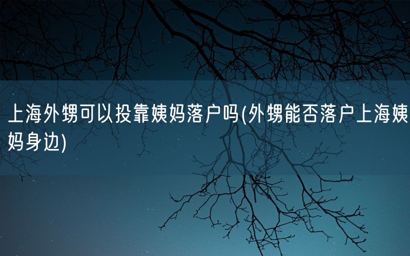 上海外甥可以投靠姨妈落户吗(外甥能否落户上海姨妈身边)