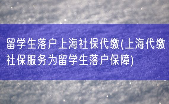 留学生落户上海社保代缴(上海代缴社保服务为留学生落户保障)