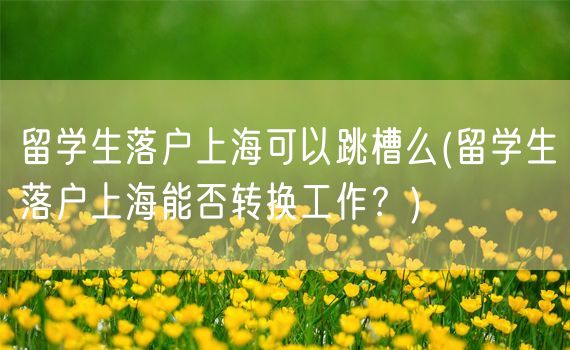 留学生落户上海可以跳槽么(留学生落户上海能否转换工作？)