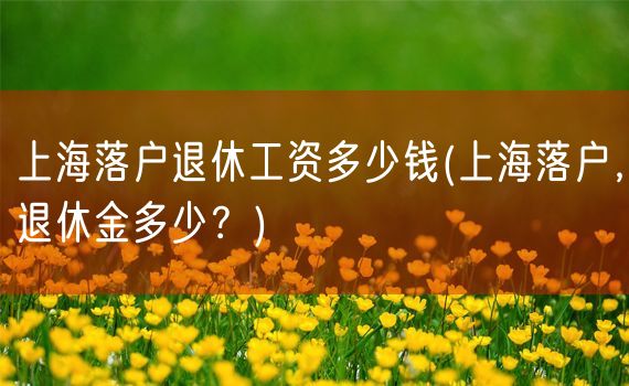 上海落户退休工资多少钱(上海落户，退休金多少？)