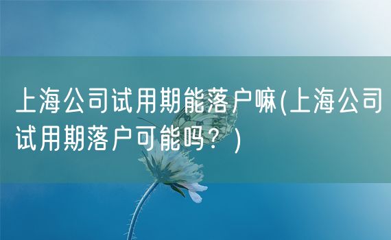 上海公司试用期能落户嘛(上海公司试用期落户可能吗？)