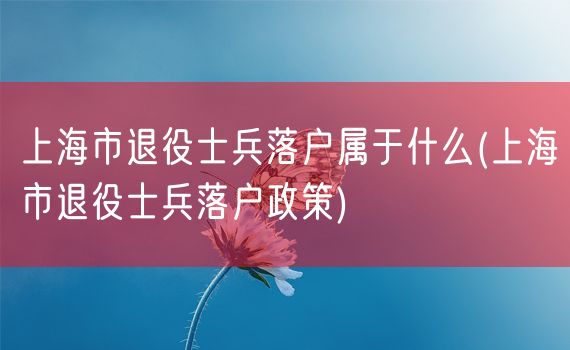 上海市退役士兵落户属于什么(上海市退役士兵落户政策)