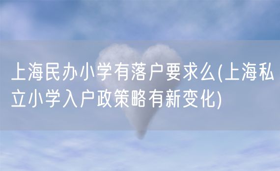 上海民办小学有落户要求么(上海私立小学入户政策略有新变化)