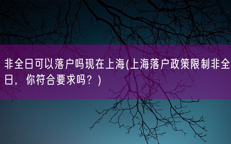 非全日可以落户吗现在上海(上海落户政策限制非全日，你符合要求吗？)