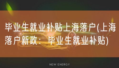 毕业生就业补贴上海落户(上海落户新政：毕业生就业补贴)