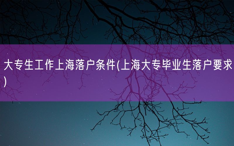 大专生工作上海落户条件(上海大专毕业生落户要求)