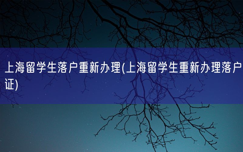 上海留学生落户重新办理(上海留学生重新办理落户证)