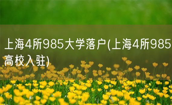 上海4所985大学落户(上海4所985高校入驻)