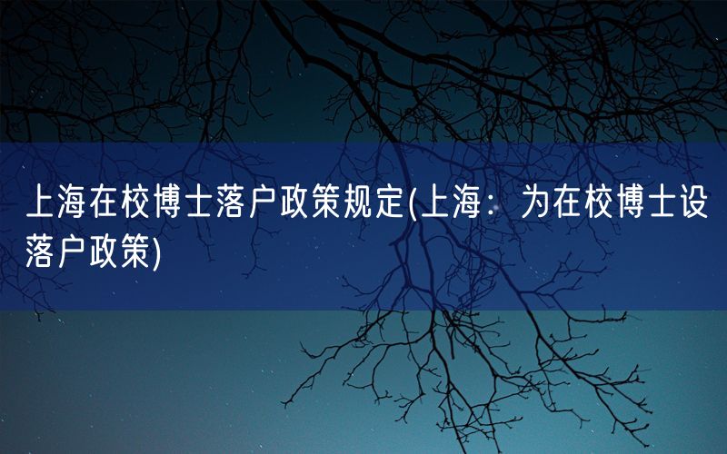 上海在校博士落户政策规定(上海：为在校博士设落户政策)