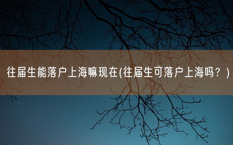 往届生能落户上海嘛现在(往届生可落户上海吗？)