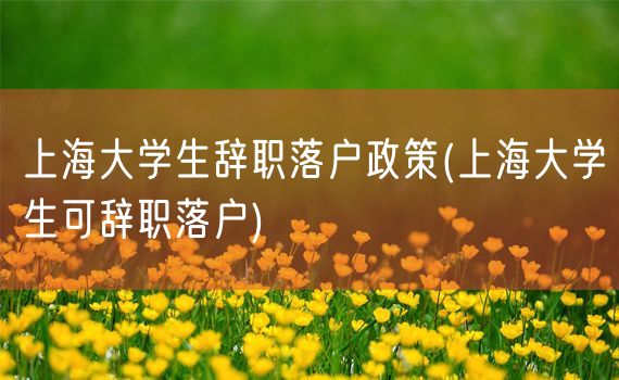 上海大学生辞职落户政策(上海大学生可辞职落户)