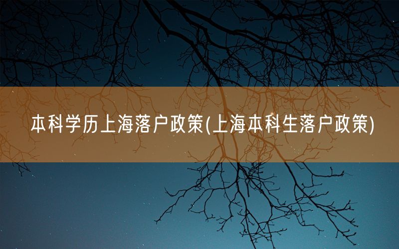 本科学历上海落户政策(上海本科生落户政策)