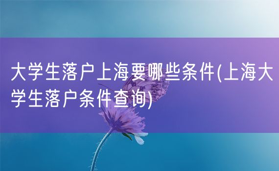 大学生落户上海要哪些条件(上海大学生落户条件查询)