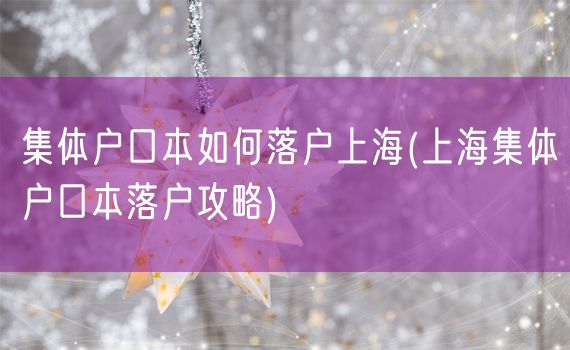 集体户口本如何落户上海(上海集体户口本落户攻略)