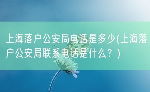 上海落户公安局电话是多少(上海落户公安局联系电话是什么？)