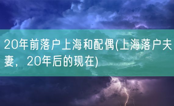 20年前落户上海和配偶(上海落户夫妻，20年后的现在)