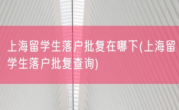 上海留学生落户批复在哪下(上海留学生落户批复查询)