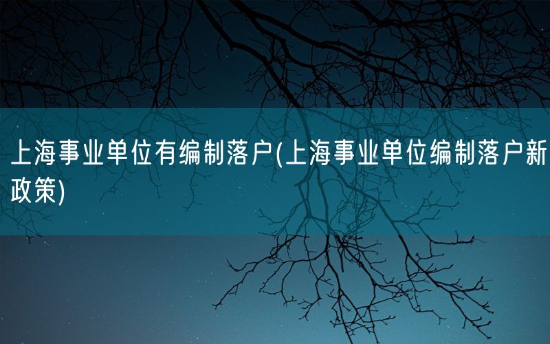 上海事业单位有编制落户(上海事业单位编制落户新政策)