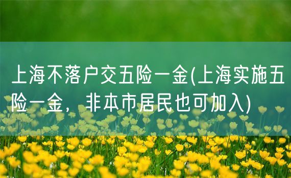 上海不落户交五险一金(上海实施五险一金，非本市居民也可加入)