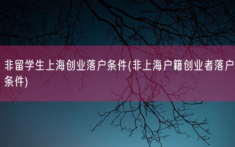 非留学生上海创业落户条件(非上海户籍创业者落户条件)