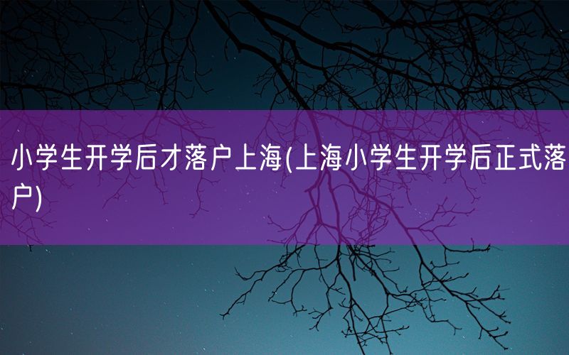 小学生开学后才落户上海(上海小学生开学后正式落户)