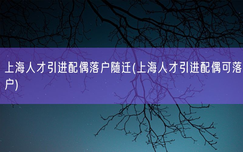 上海人才引进配偶落户随迁(上海人才引进配偶可落户)