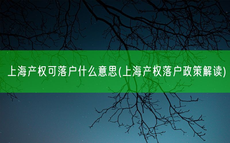 上海产权可落户什么意思(上海产权落户政策解读)