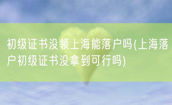 初级证书没领上海能落户吗(上海落户初级证书没拿到可行吗)