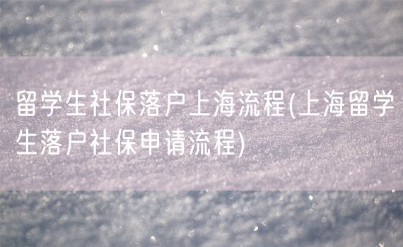 留学生社保落户上海流程(上海留学生落户社保申请流程)