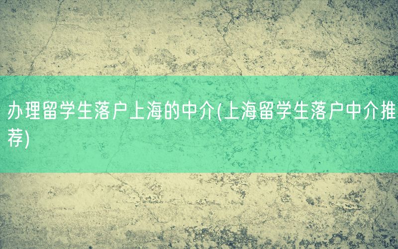 办理留学生落户上海的中介(上海留学生落户中介推荐)