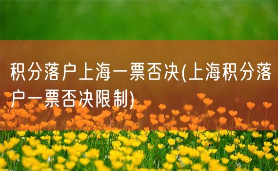 积分落户上海一票否决(上海积分落户一票否决限制)