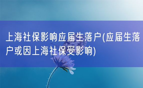 上海社保影响应届生落户(应届生落户或因上海社保受影响)