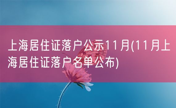 上海居住证落户公示11月(11月上海居住证落户名单公布)