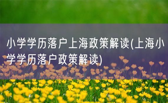 小学学历落户上海政策解读(上海小学学历落户政策解读)