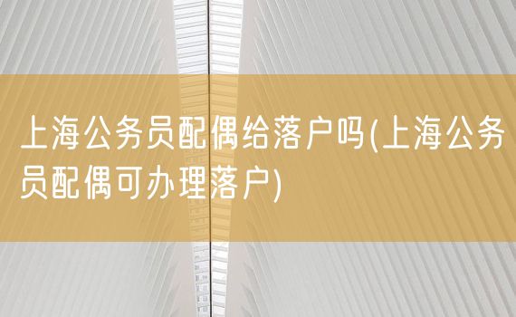 上海公务员配偶给落户吗(上海公务员配偶可办理落户)