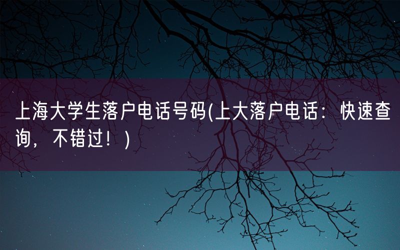 上海大学生落户电话号码(上大落户电话：快速查询，不错过！)