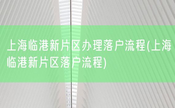 上海临港新片区办理落户流程(上海临港新片区落户流程)