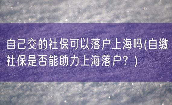 自己交的社保可以落户上海吗(自缴社保是否能助力上海落户？)