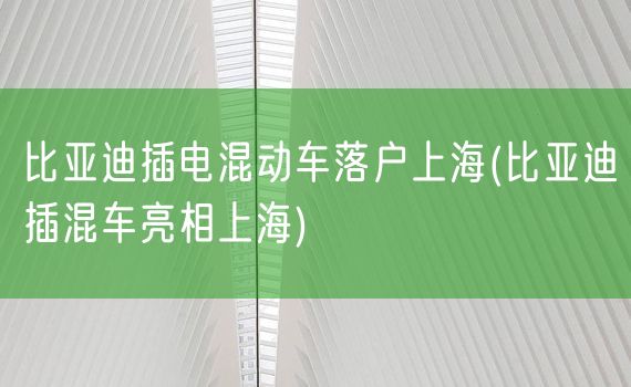 比亚迪插电混动车落户上海(比亚迪插混车亮相上海)