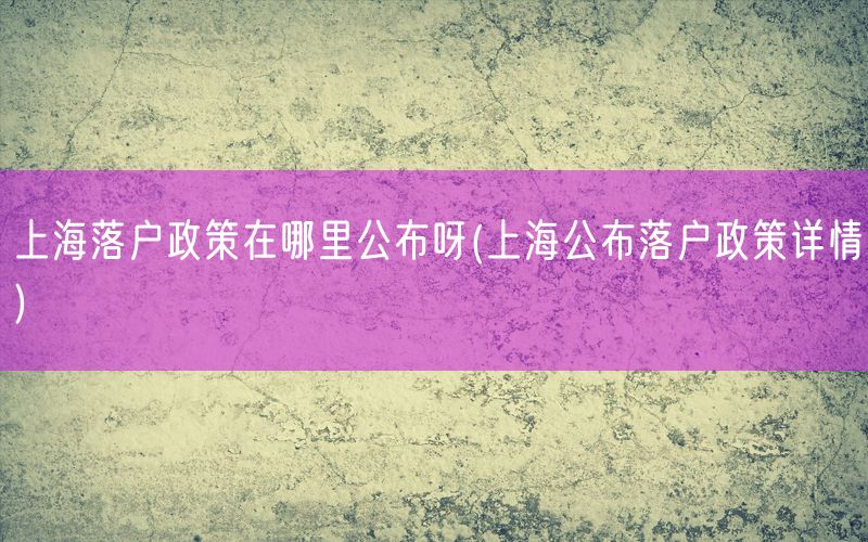 上海落户政策在哪里公布呀(上海公布落户政策详情)