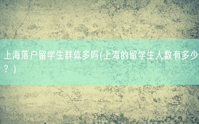 上海落户留学生群体多吗(上海的留学生人数有多少？)