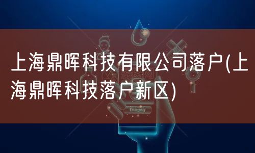 上海鼎晖科技有限公司落户(上海鼎晖科技落户新区)