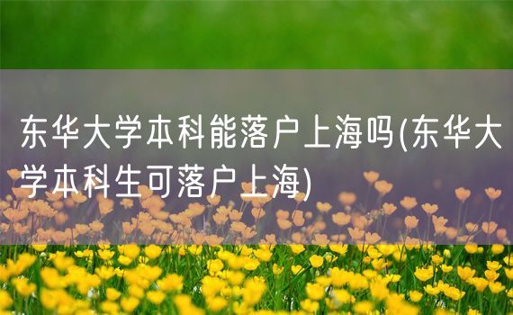 东华大学本科能落户上海吗(东华大学本科生可落户上海)