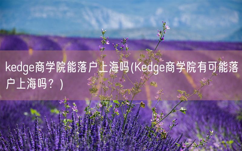 kedge商学院能落户上海吗(Kedge商学院有可能落户上海吗？)