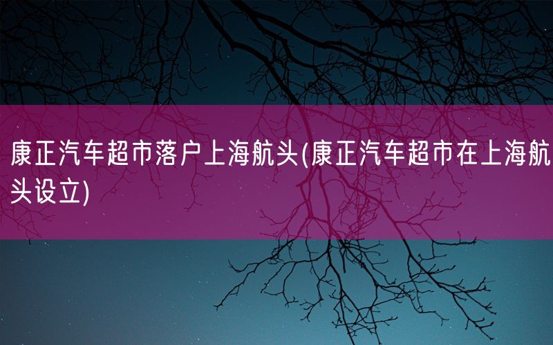 康正汽车超市落户上海航头(康正汽车超市在上海航头设立)