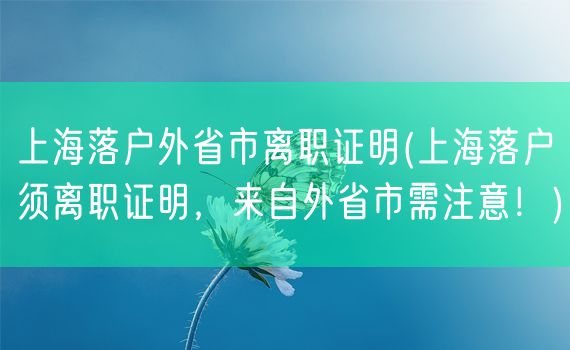 上海落户外省市离职证明(上海落户须离职证明，来自外省市需注意！)