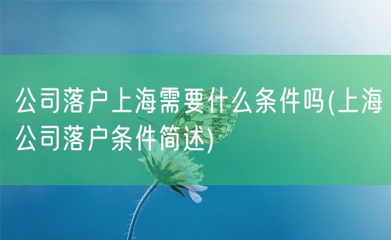 公司落户上海需要什么条件吗(上海公司落户条件简述)