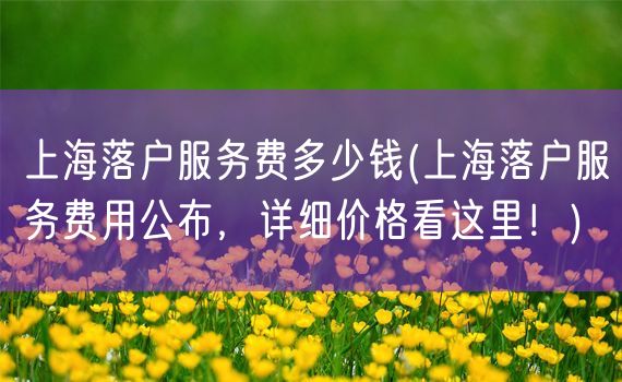 上海落户服务费多少钱(上海落户服务费用公布，详细价格看这里！)